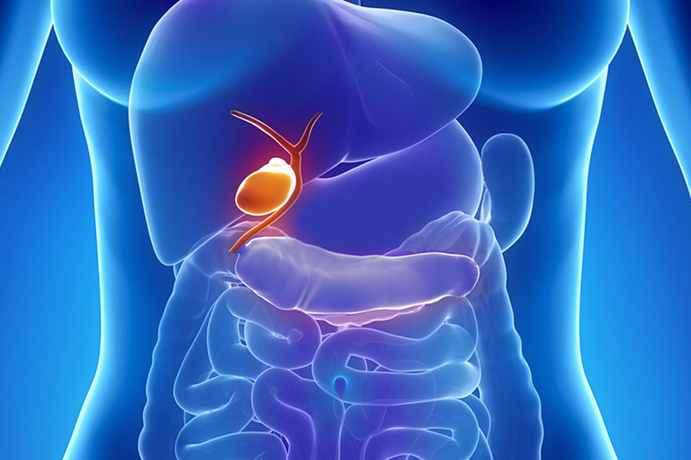 What Is Biliary Obstruction? - Dr. Bhate