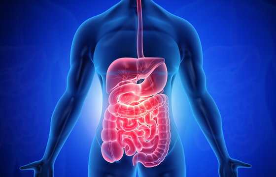 Gastrointestinal Diseases - Dr. Bhate