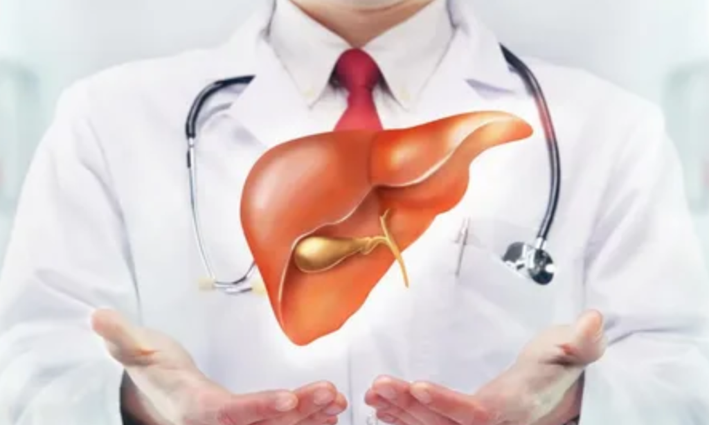 Introduction to Hepatology: Understanding Liver Health